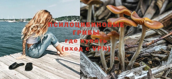 круглые Алексин