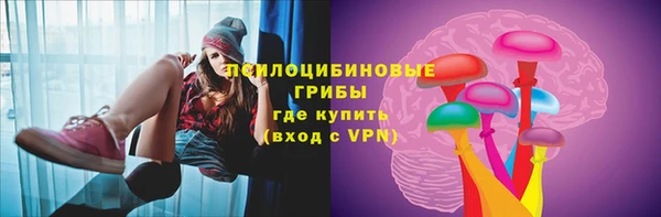 ГАЛЛЮЦИНОГЕННЫЕ ГРИБЫ Покров