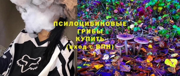 ГАЛЛЮЦИНОГЕННЫЕ ГРИБЫ Покров