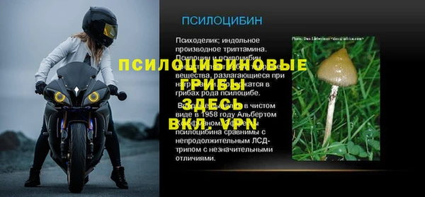 шишки Алексеевка